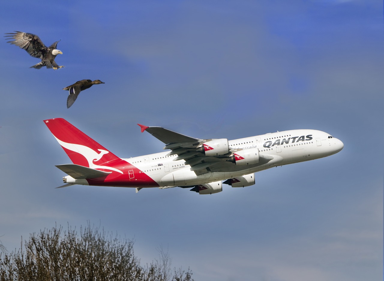 Qantas Airlines grounds Boeing 737 NG airplane