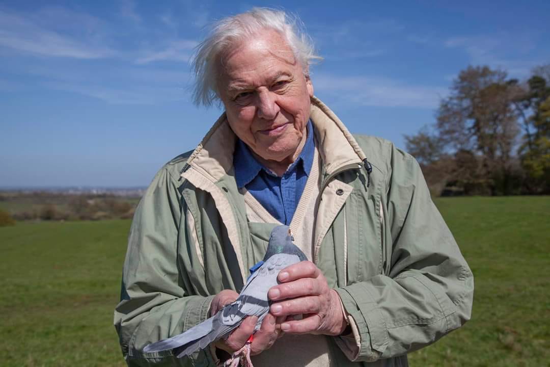 Sir David Attenborough plastic pollution