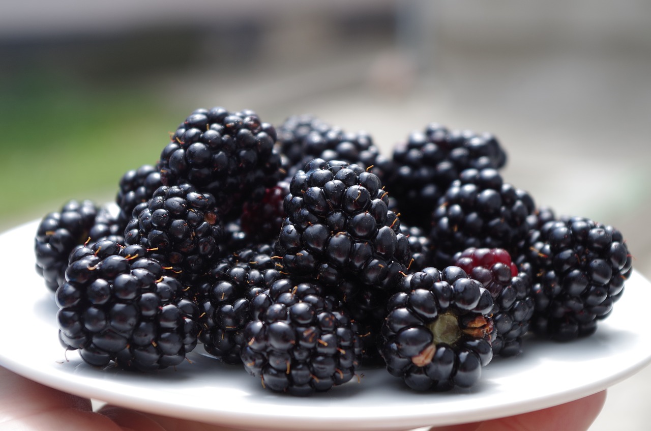 hepatitis A outbreak blackberries Fresh Thyme