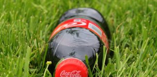 Coca-Cola plastic bottles consumers