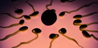 sperm donations dead men UK