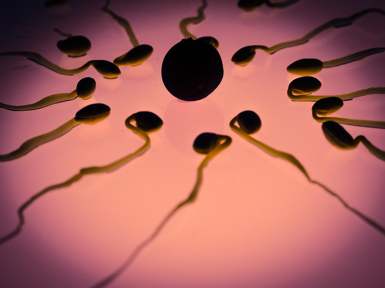 sperm donations dead men UK