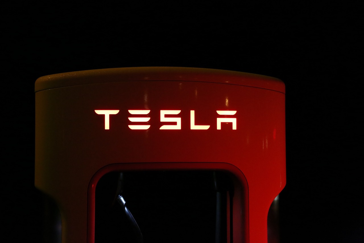 Court halts work at Tesla factory Germany