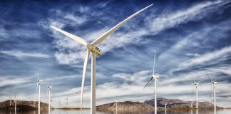 black turbine blade reduce bird deaths at wind farms